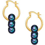 Creolen gelbgold Muschelkernperle dunkelblau
